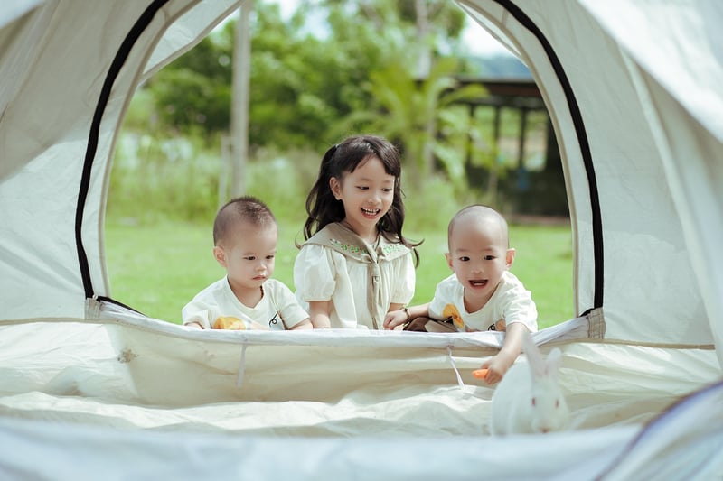 Camping Escapades
